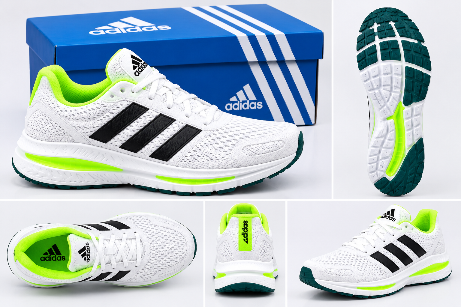 Premium Signature Sneakers